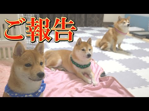 台風の接近にともない、残念なご報告があります