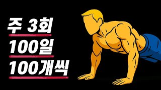 몸과 정신이 개조되는 삼백백 푸쉬업 챌린지🔥 맨몸 운동 홈트레이닝 루틴