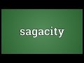 Understanding Sagacity