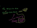 Probability Concepts and Rules