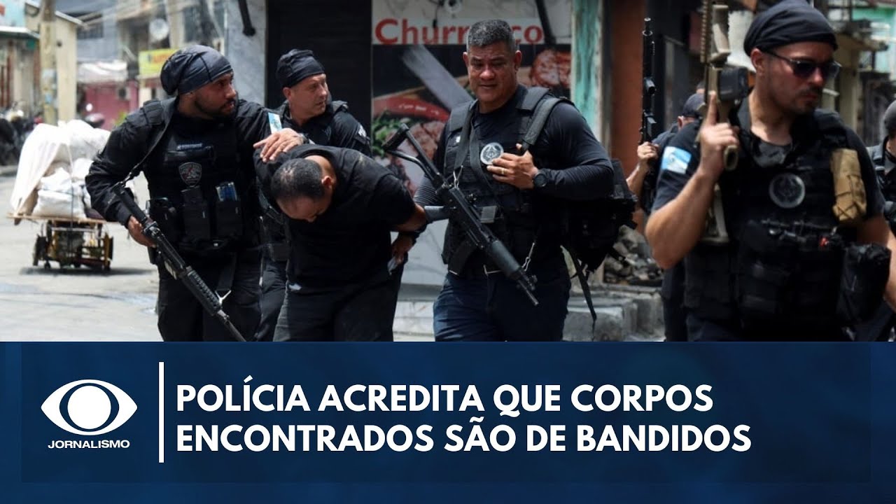 RJ Polícia acredita que corpos encontrados na mata são de bandidos  TV Online RJ Polícia acredita que corpos encontrados na mata são de bandidos