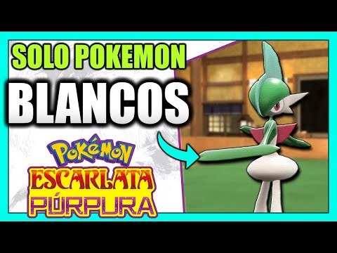 POR ESTO SALAMENCE SE VUELVE IMPARABLE en MANOS de JUGADOR PRO! EQUIPO POKÉMON BLANCO