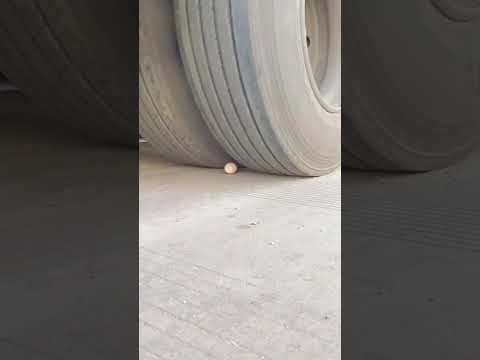 LÁI XE MÀ KHÔNG BỂ TRỨNG 😱 | Ô TÔ HUỲNH GIA PHÁT | LH: 0932 795 695 #viralvideo #viralshort #trucks