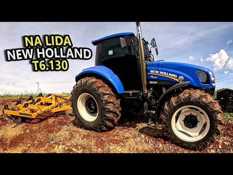 PLANTANDO EM CIMA DA TERRA VERMELHA QUE FOI COLOCADA NA ÁREA DEGRADADA