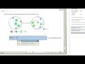 Chemical Equation Fundamentals