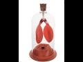Bell Jar Model of Human Respiration