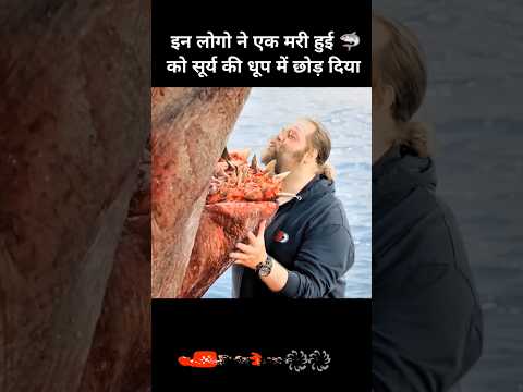 🦈इन लोगो ने एक मरी हुई शार्क को सूर्य की धूप में छोड़ दिया#movie