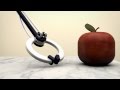 Exploring Newton's Laws of Motion