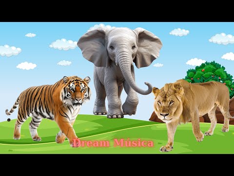 Animal Sounds Around Us: Tiger, Lion, Elephant, Giraffe, Flamingo - Animal Videos