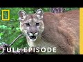 Wildlife Adventures and Challenges