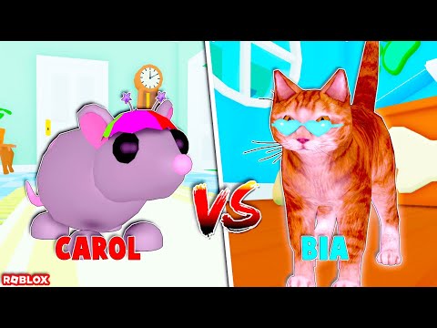 GATO VS RATO no ROBLOX! 😣