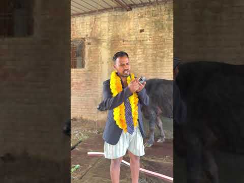 नेटवर्क मार्केटिंग वाले 😂 #networkmarketing #uttamkewat