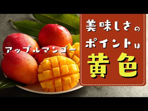外国産アップルマンゴー【失敗しない選び方】色で見極める美味しいマンゴー　大事なのは赤ではなく黄色！