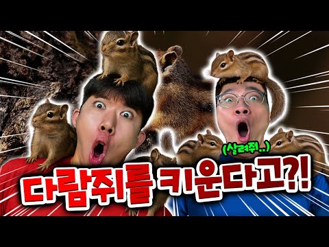 다람쥐를 키워도 될까요!? 10마리..?! 100마리?! 키울 수 있겠어?!