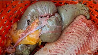 Amazing Giant Magur Fish Cutting & Skin Remove In Fish Market l Amazing Cutting Skills