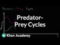 Dynamics of Predator and Prey Populations