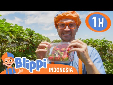 Belajar Makan Sehat Di Peternakan Tanaka | Blippi Bahasa Indonesia - Video Anak | Petualangan Blippi