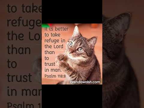 #christianmusic #dailybibleverse #cat #christiansongs