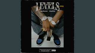 Levels