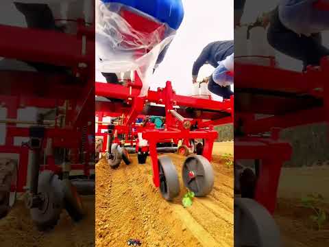Magic fruit 🚜🚜🚜 #asmr #fruit #fruts