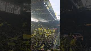 BVB vs St. Pauli "You'll never walk alone #bvb #bvb09 #borussiadortmund #fußball