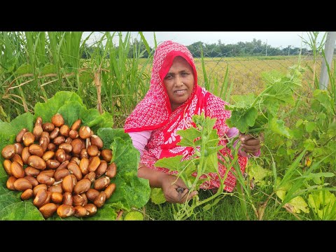মিষ্টি কুমড়ো শাক দিয়ে পুকুরের ছোট মাছ রান্না Pumpkin Leaves Small Fish Curry Choto Macher Torkari