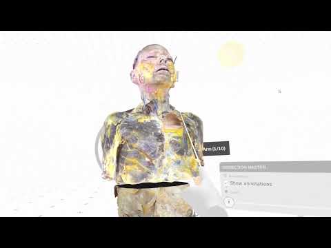 Tutorial Dissection Master XR