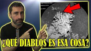 El Descubrimiento en Marte que ESTÁ ROMPIENDO INTERNET ¿Qué diablos es esa cosa?