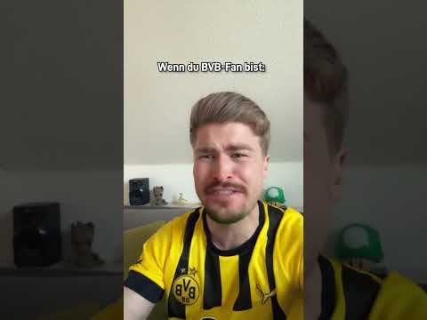 Wie ich das Spiel gegen Stuttgart erlebt habe. #bvb #dortmund #vfb #bundesliga  #fussball