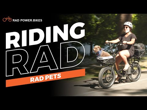 Riding With Pets | Riding Rad