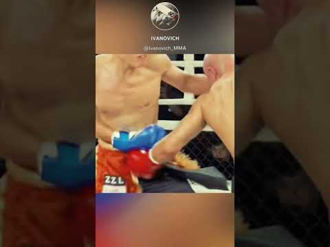 Tiger vs Zhao Zilong #shorts