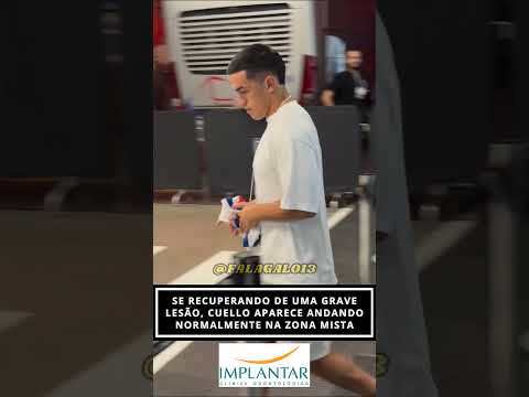 image para ilustrar o artigo