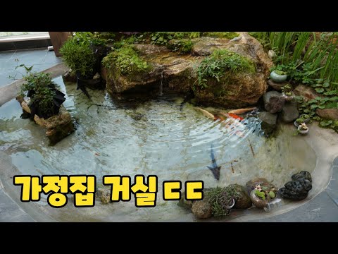 집안에 대자연을 만든 부부(썸넬어그로아님,전원생활의 로망)