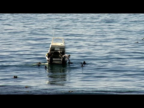 Inside the Elite Unit Fighting Abalone Poaching in South Africa