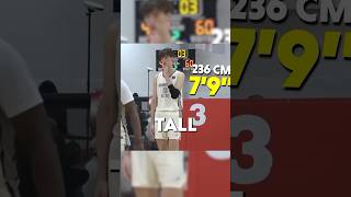 Canadian stars- a new wave of basketball titans #Sport