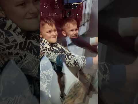 ДА КАК ОНИ ЭТО ДЕЛАЮТ? 🤣 ПОДПИШИСЬ❤️