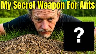 Killing Ants  Naturally -  WATCH My Trap WORK!