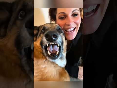 Dog imitates its owner #shortvideo