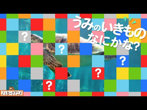 かくれている海の生き物はなにかな？【知育アニメ】What is this sea creature? Video for Kids