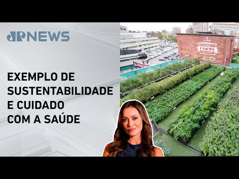 Hospital em Boston combate insegurança alimentar com horta no telhado; Patrícia Costa analisa