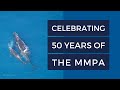 Marine Mammal Protection and Advocacy