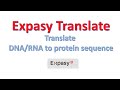 Using the Xbox C A Translate Tool