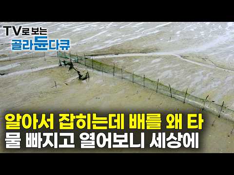 돈 주고 배를 살 필요가 없다｜물 빠졌을 때 길게 쳐둔 그물, 다음 날 열어봤더니｜이렇게나 잡힐 줄 몰랐다｜한국기행｜#골라듄다큐