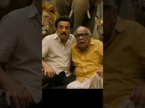 All Animals  Chase 2Man  Why ?????#politicalnews #politicalanalysis #politicalcomedy #comedy #ai