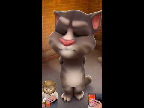 Talking tom cat - Live (Part 29)