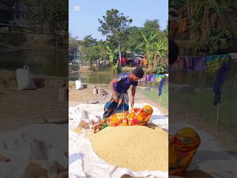 কামডা কি করলো #foryou #funny #funnyshorts #trending #reels #subscribe #shorts