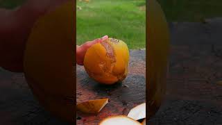beautiful peeling experience #fruit