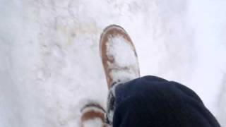 timbs in snow
