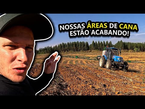 NOSSAS ÁREAS DE CANA VÃO SE ACABAR