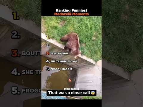 Ranking Funniest Medazelli Moments